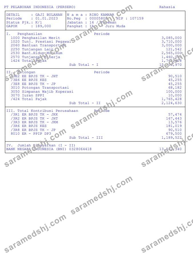 Pt pelabuhan indonesia (persero) pay stub in PDF and Word formats